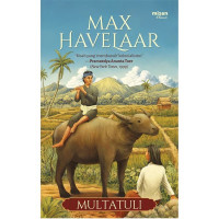 Image of Max Havelaar