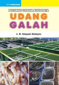 Peluang Usaha Budi Daya Udang Galah