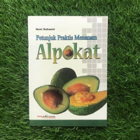 Petunjuk Praktis Menanam Alpokat